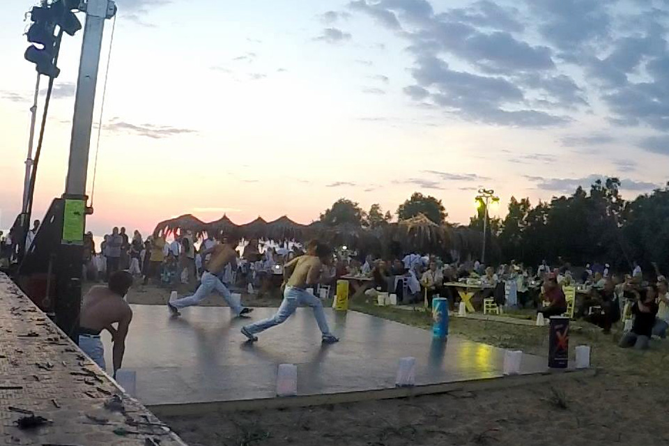 Capoeira Shows